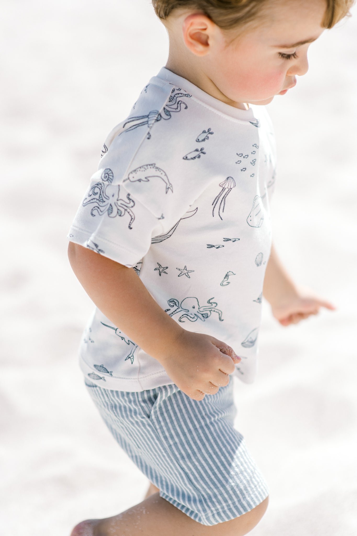 Pehr-Seersucker Shorts-Marine Blue-4