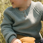 Pehr-Cotton Knit Toddler Sweater-Pond-2