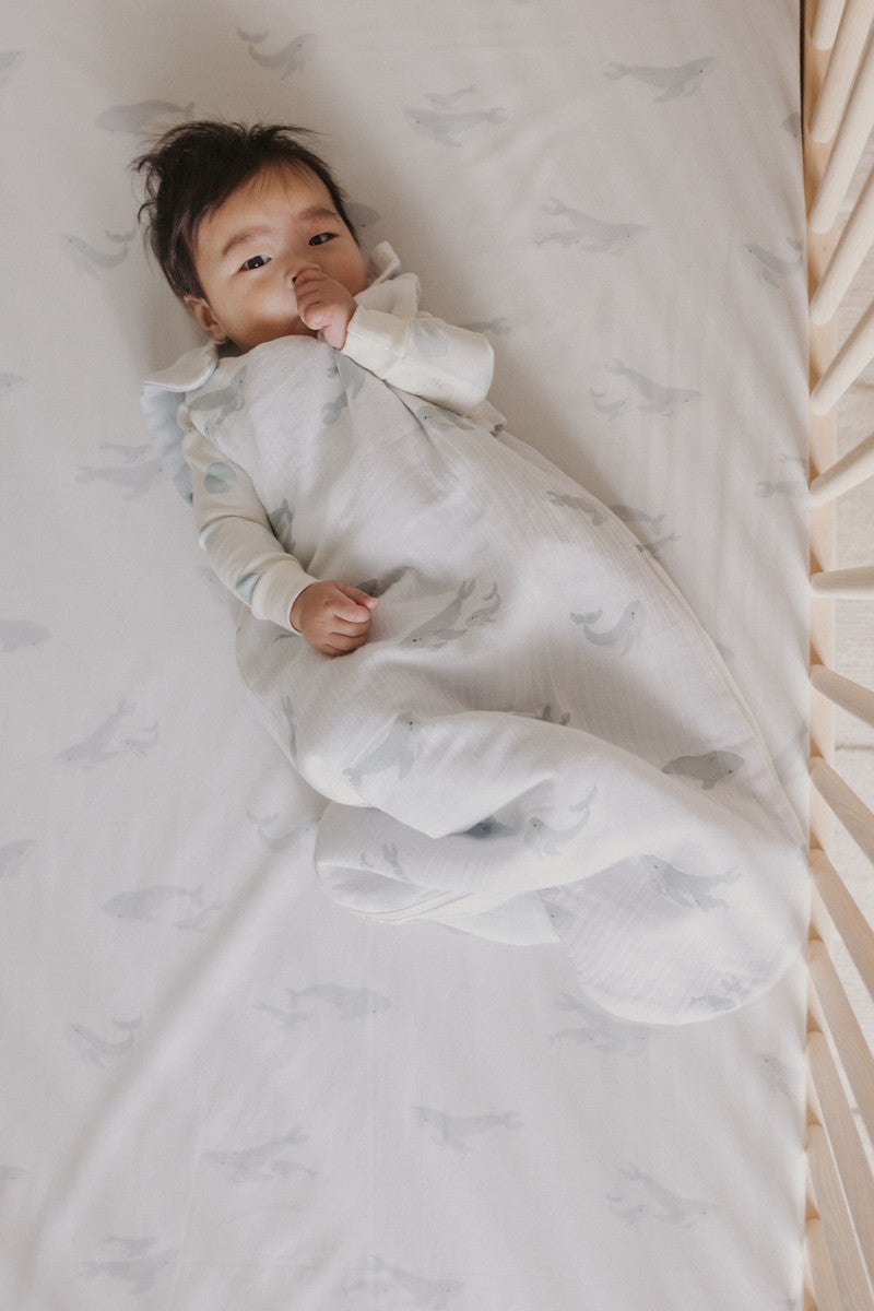 Pehr-Follow Me Crib Sheet-Follow Me Whale-3