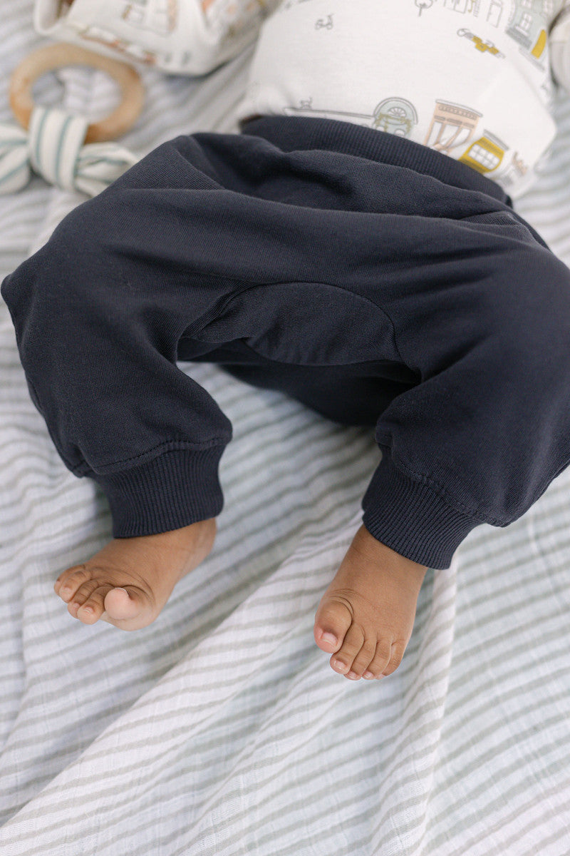 Pehr-French Terry Harem Pant-2-Pack-Blues-Baby-3