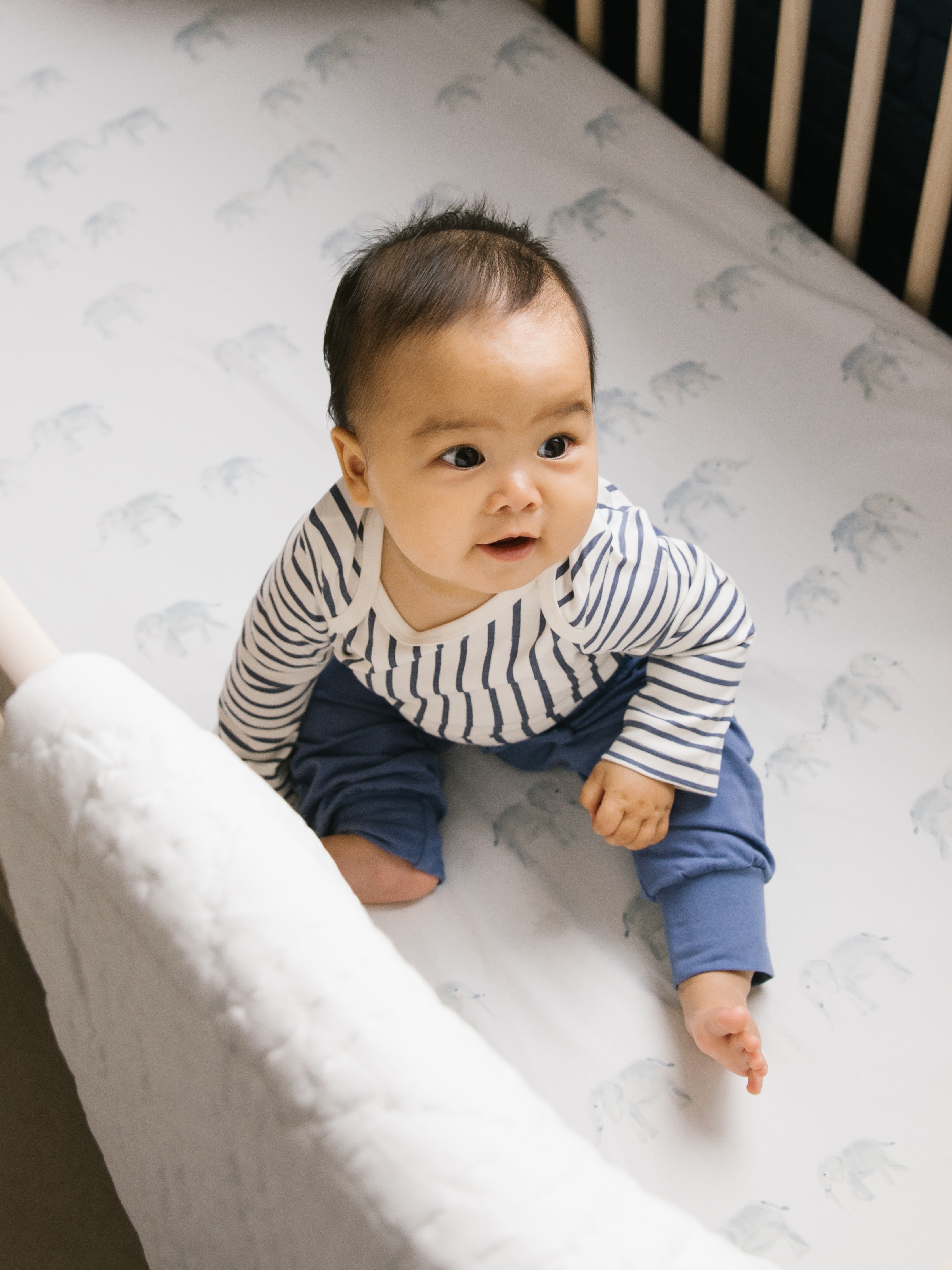Pehr-Follow Me Crib Sheet-Follow Me Elephant-3