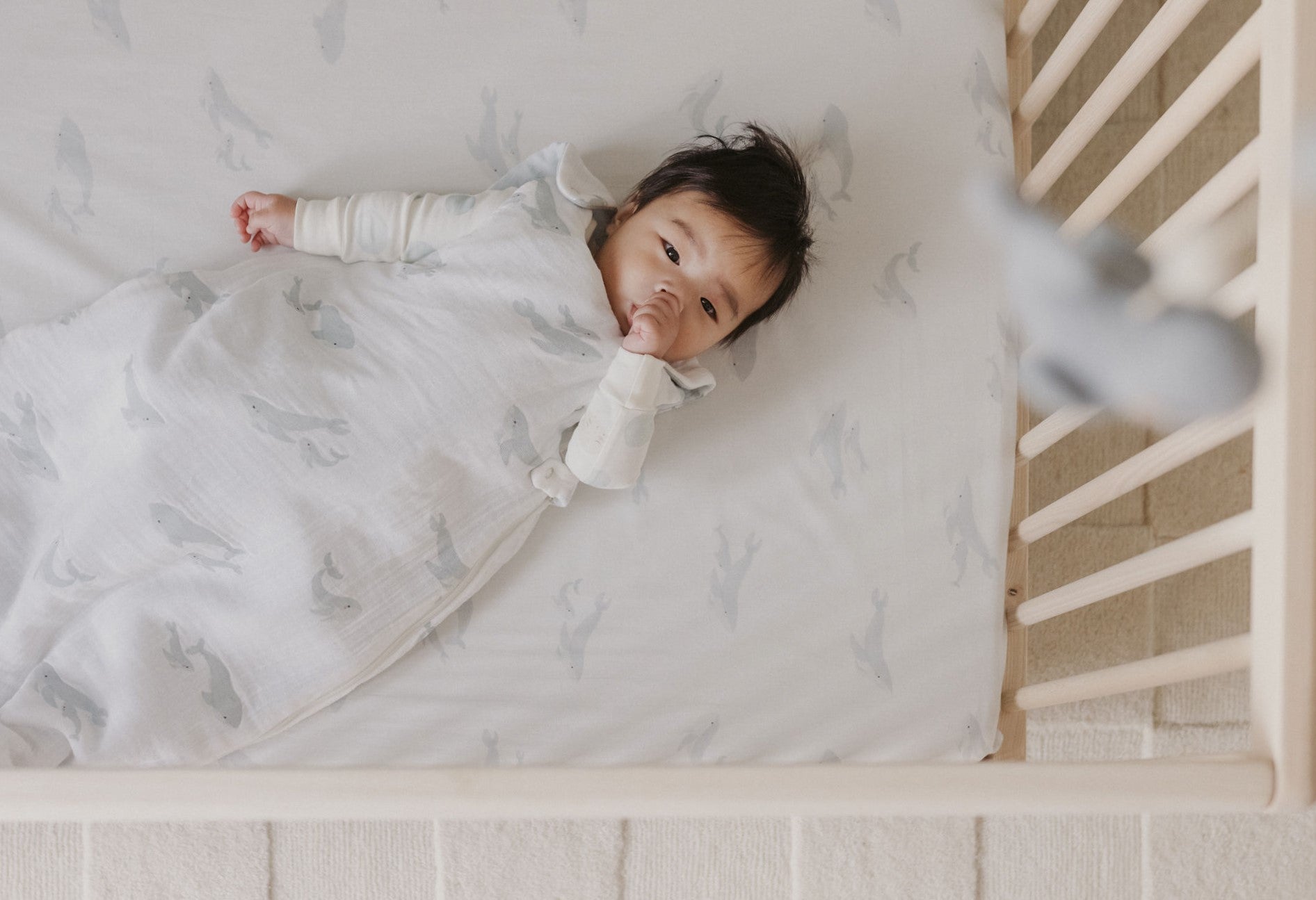 Overhead image of baby laying in crib sucking his thumb