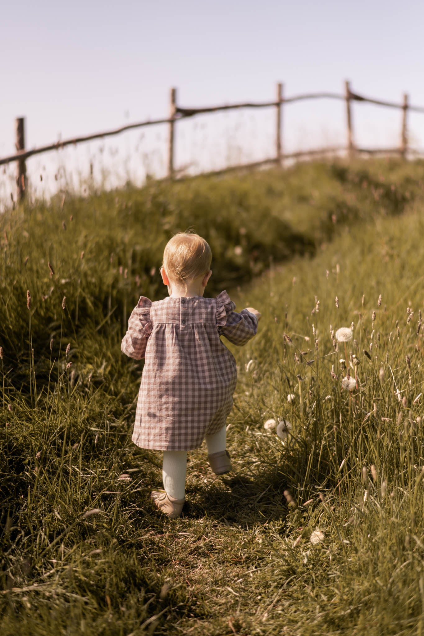 Pehr-Flannel Smocked Dress-Thistle/Light Thistle-6