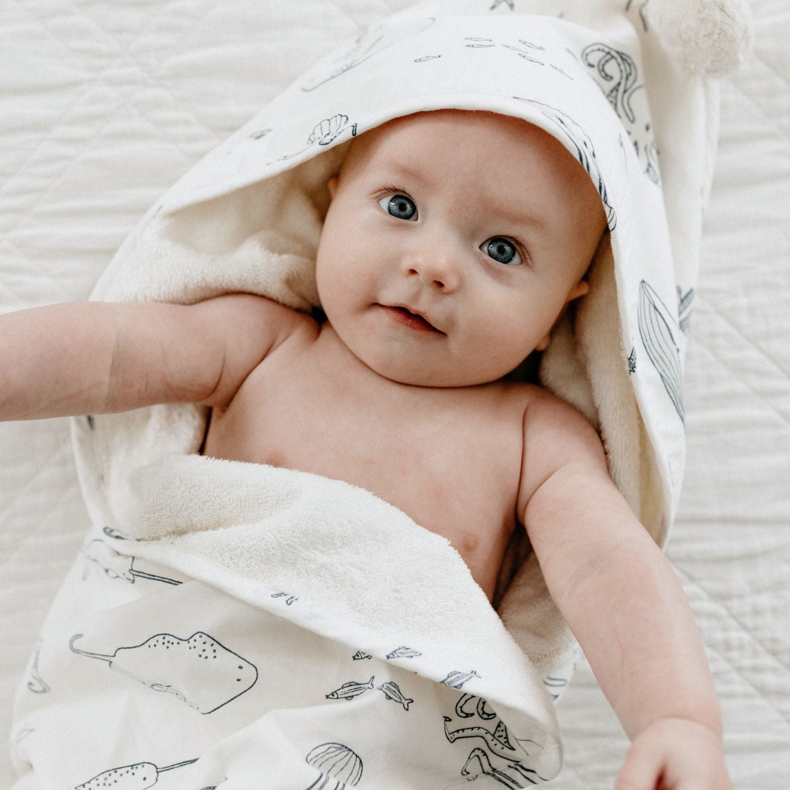 Pehr-Hooded Towel-Life Aquatic-2