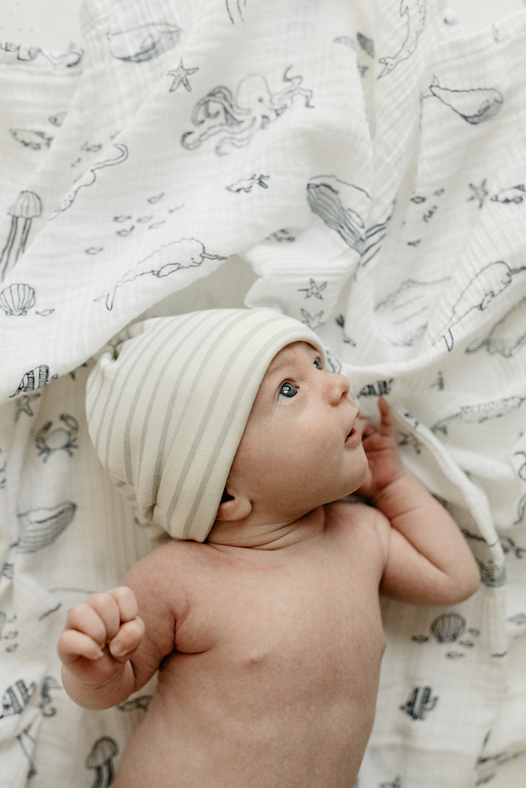 Pehr-Swaddle-Life Aquatic-2