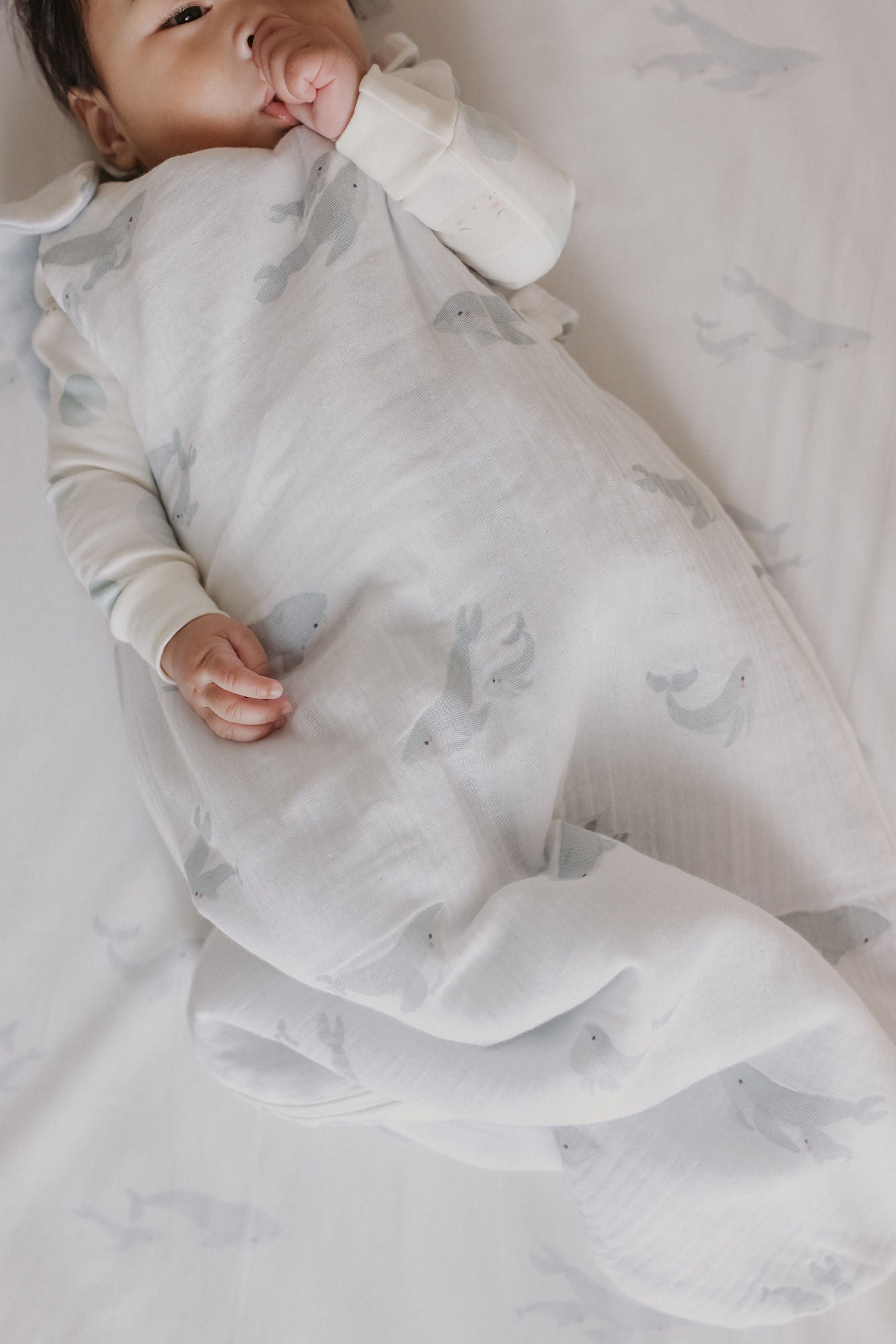 1.7 TOG Sleep Bag Sleep bag Pehr   