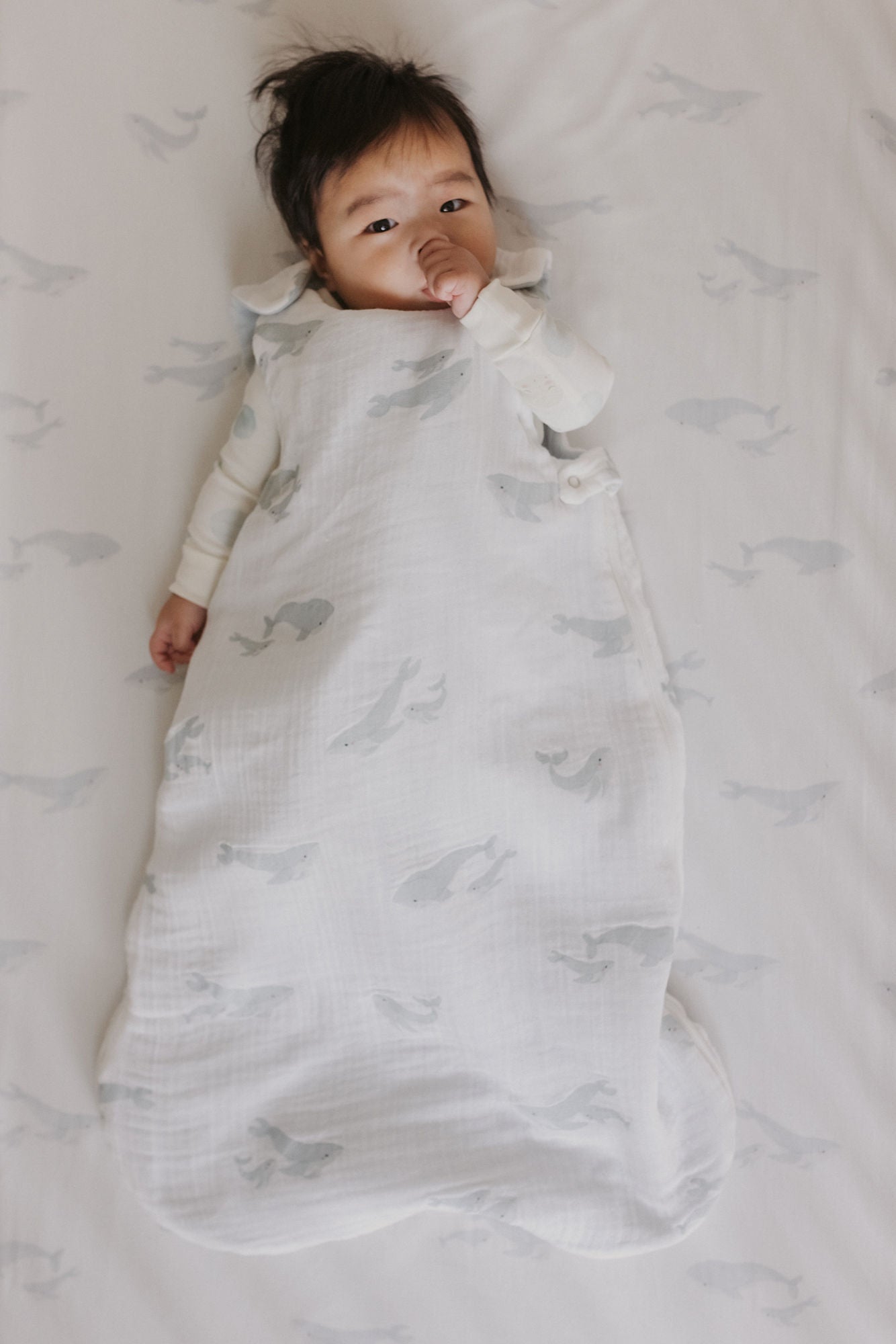 1.7 TOG Sleep Bag Sleep bag Pehr   