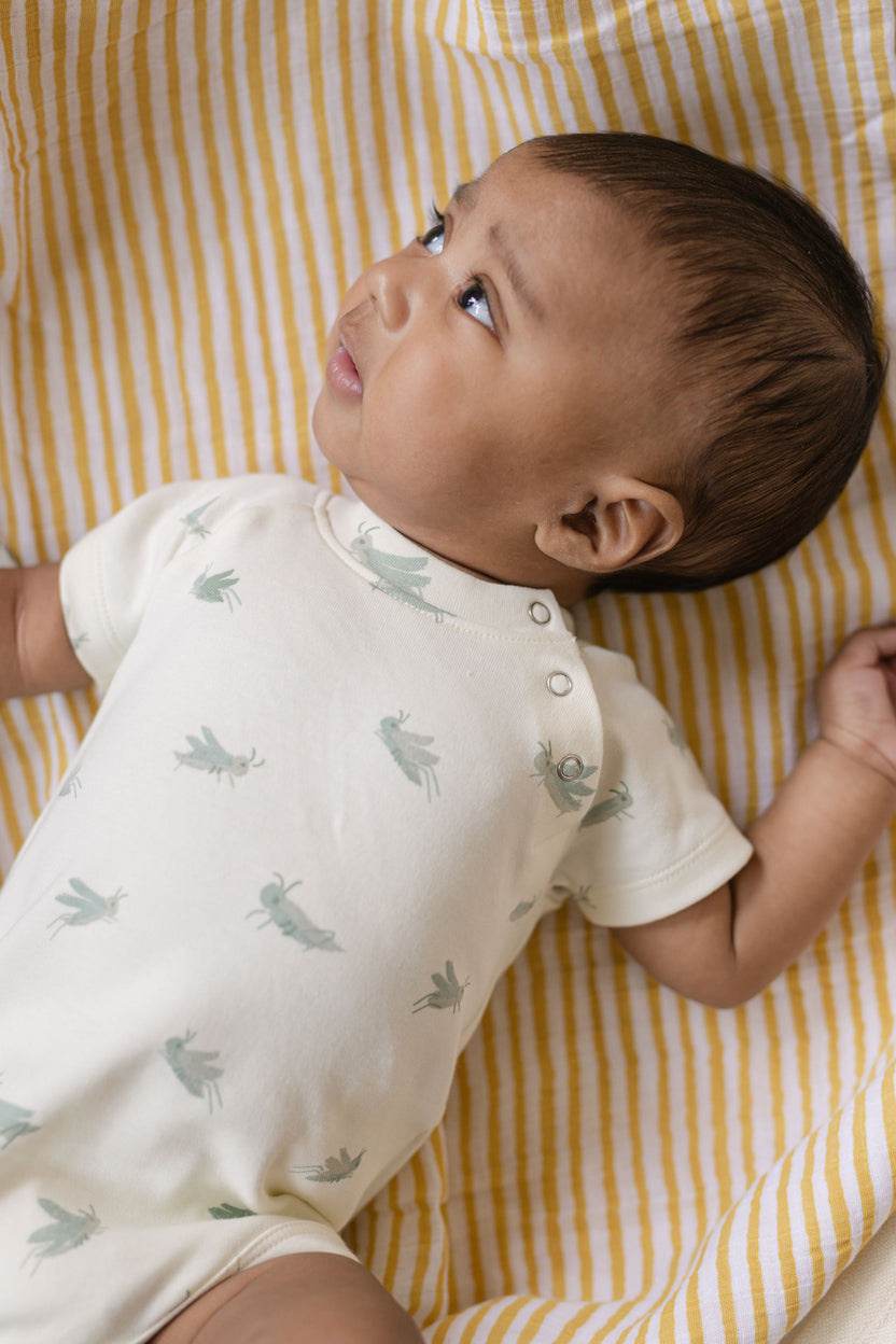 Pehr Sale Pehr Canada