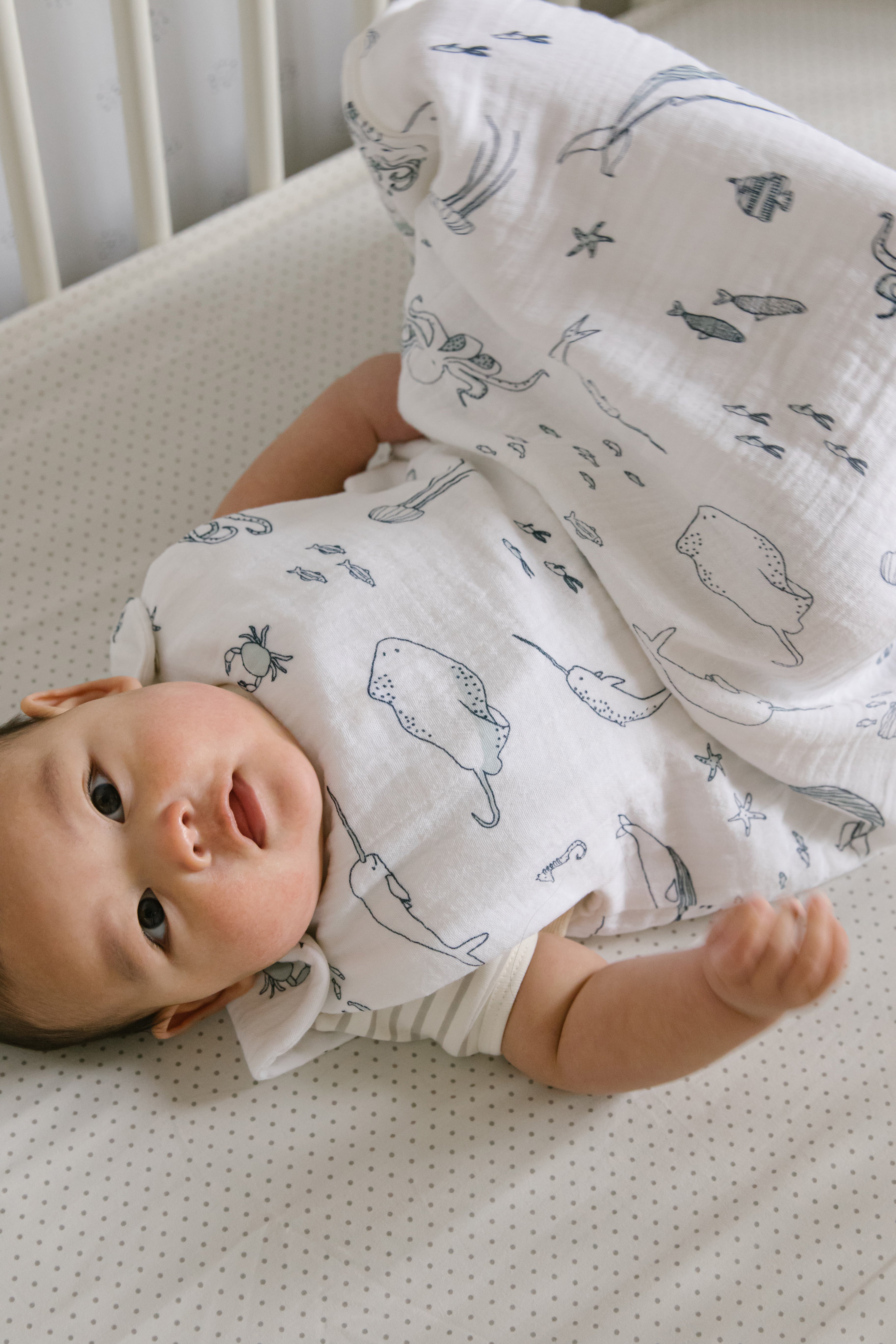 1.0 TOG Sleep Bag Sleep bag Pehr   
