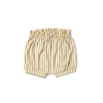 Bloomer Short Bloomers & Shorts Pehr Stripes Away Marigold 0 - 3 mos. 